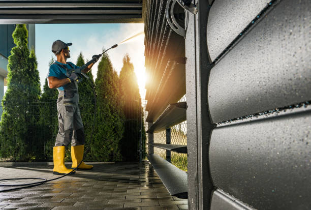 Animal Enclosure Cleaning in Anthony, NM